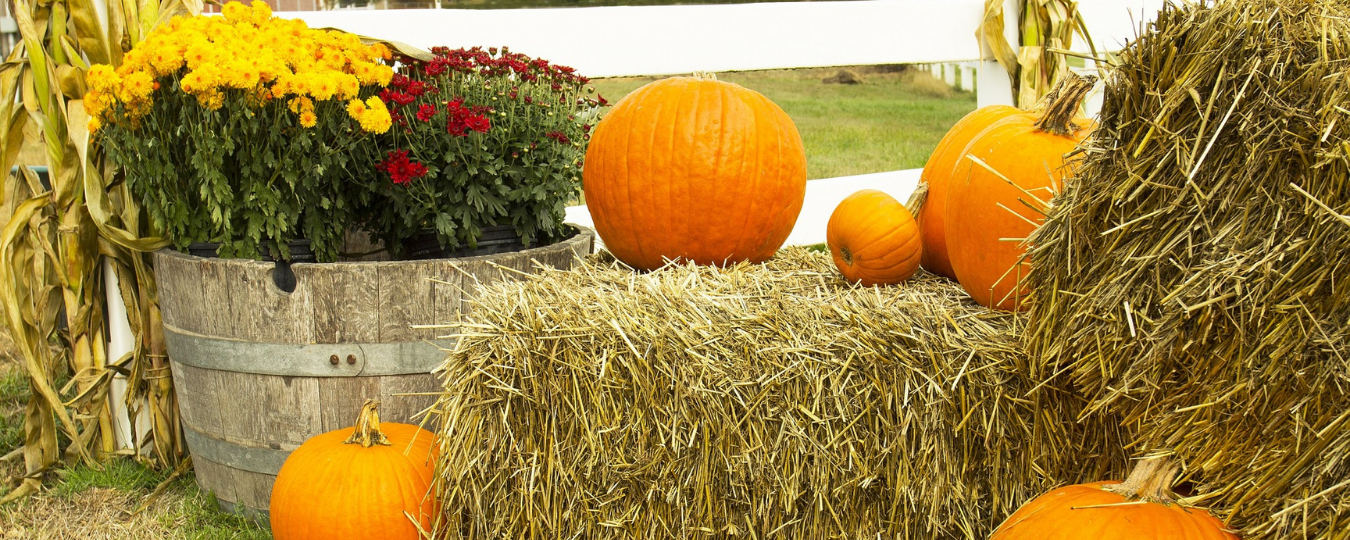 September Home Maintenance Checklist