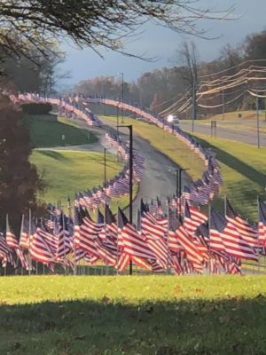 Avenue of Flags Cape County Park North