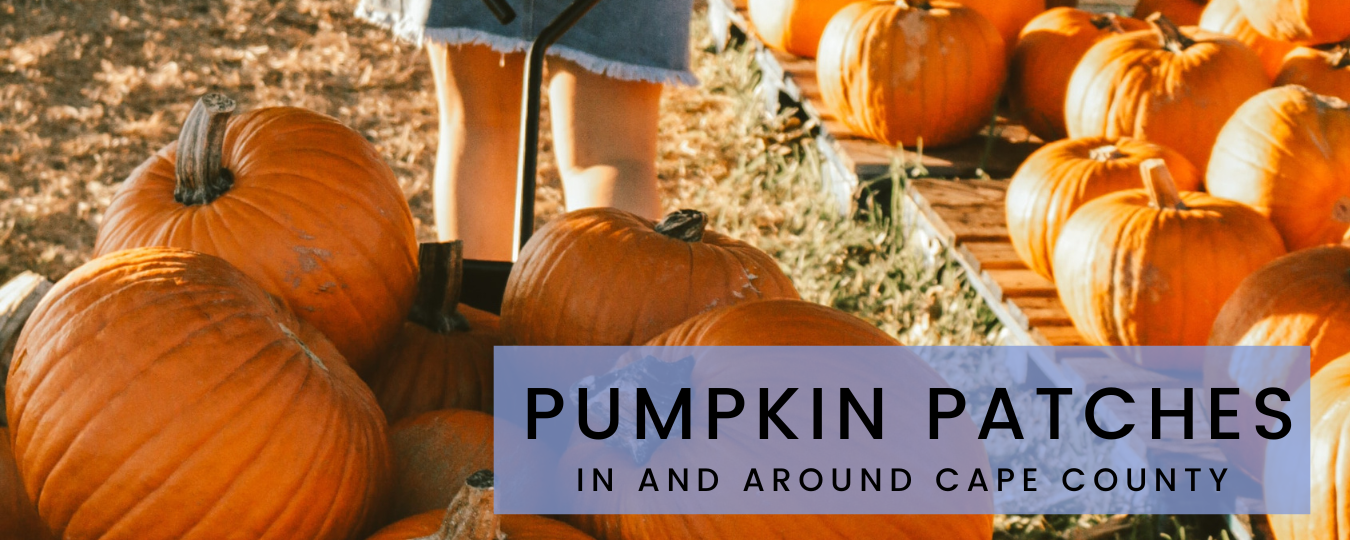 Pumpkin Patches In and Around Cape County